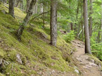 DSC07670.JPG