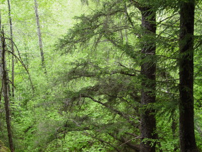 DSC07673.JPG