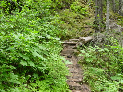 DSC07678.JPG