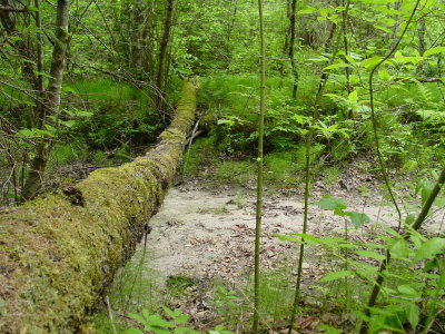 DSC07695.JPG
