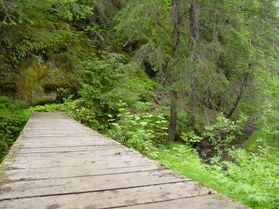 DSC07709.JPG