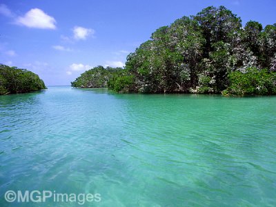 Reserva de Sian Kaan, Yucatn, Mexico