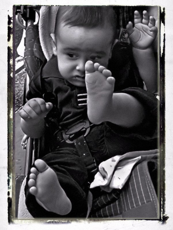 head, hands and feet....