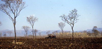 Tana Beles resettlement, 1988