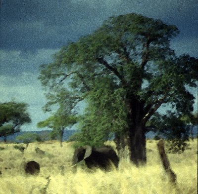 Elephants in the Maasai Mara, Kenya