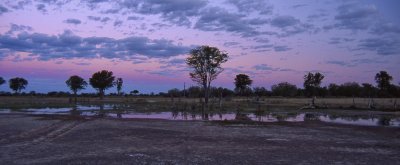 Through Moremi, Botswana