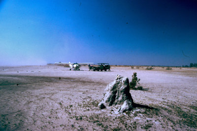 The landing strip in Selinda, Northern Botswana