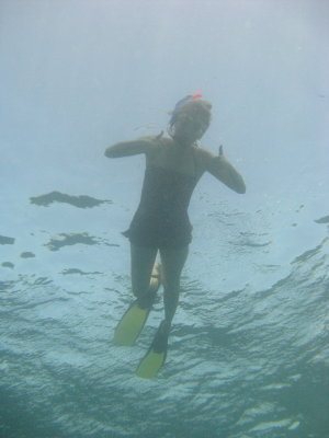 Bocas - Reef Snorkeling