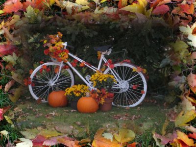 Fall Bike Thanksgiving card