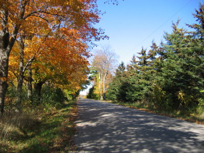 Perfect road for cycling