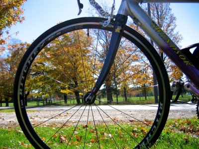 Just me, my bike and the wind through the trees