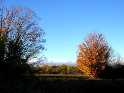12th October at 6pm bright sunshine