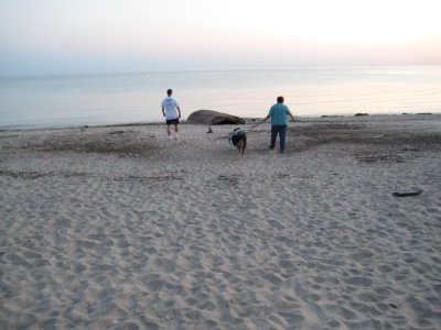 A sunset walk on the beach