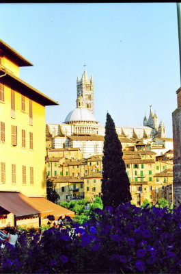 Siena