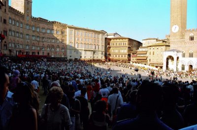 Palilo-Piazza del campo