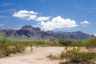 _MG_1835.jpg