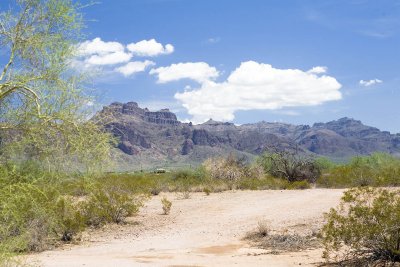 _MG_1840.jpg
