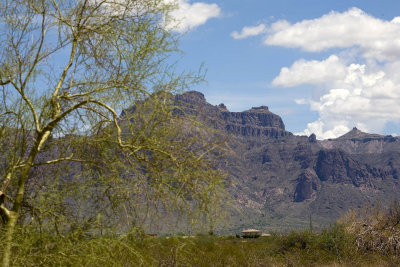 _MG_1844.jpg