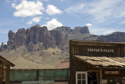 _MG_1849.jpg