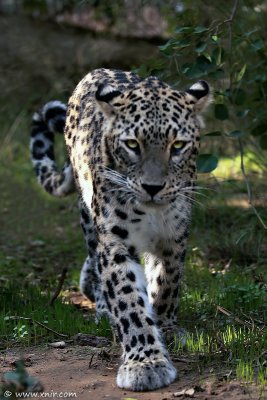 IMG_7889.JPG