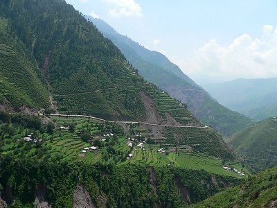 Terraced Plantation - Near Kawai, Kaghan Valley - P1280451.jpg