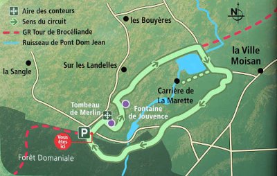 Broceliande forest