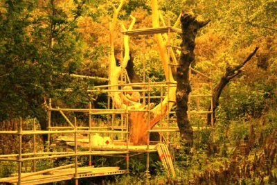 The golden tree