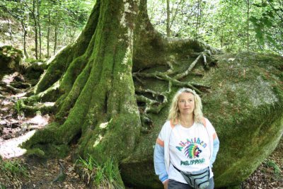 Big tree