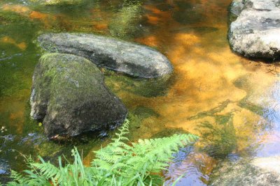 Fairies pool