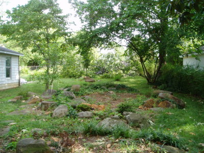 P1010115.JPG