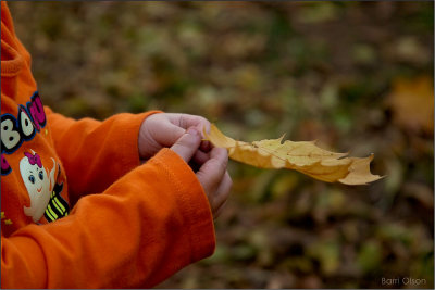 Lilli's Leaf