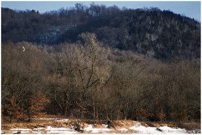 Across The River