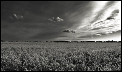 Earth and Sky