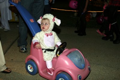rolling lamb