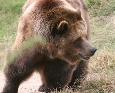 IMG_0899.jpg
