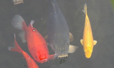 IMG_0838.jpg