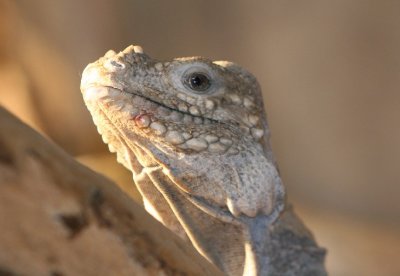 IMG_0887.jpg