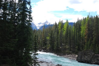 Kicking Horse River, near Field, British Columbia