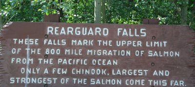 Rearguard Falls