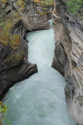 Athabasca Falls Gorge