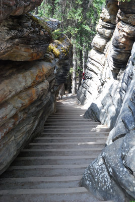 Athabasca Falls Trail