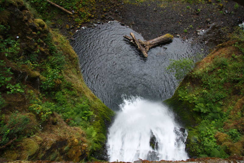 Looking Down from the Bridge at Multnomah Falls