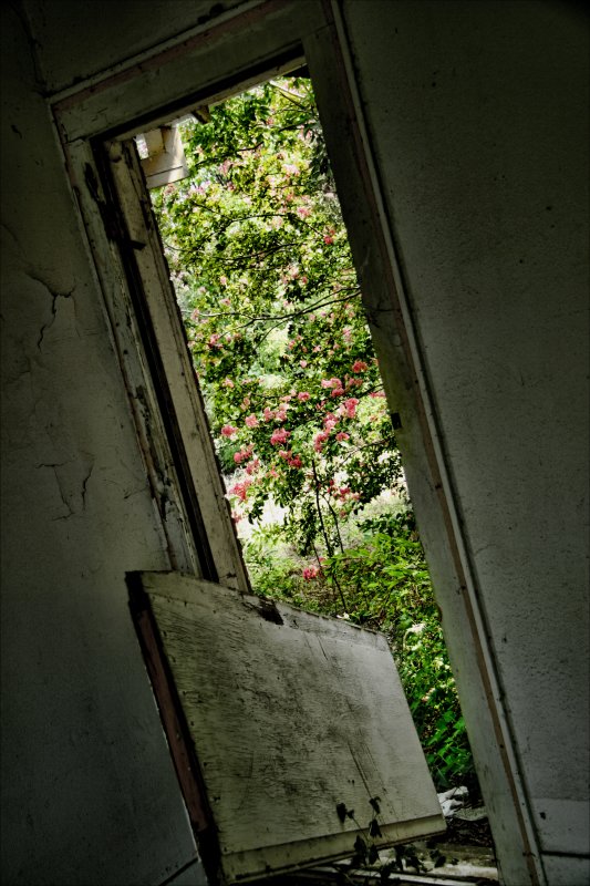 DOOR