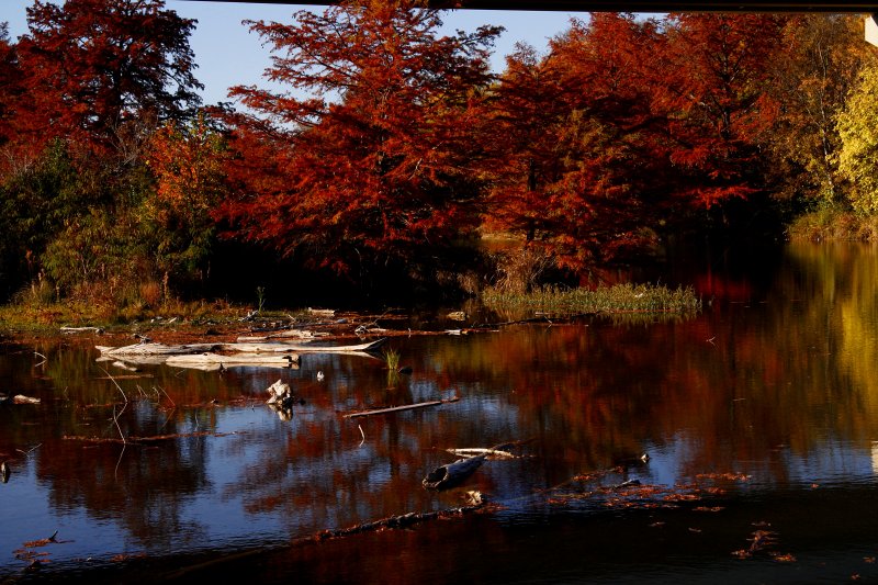 AUTUMN ON THE GUADALUPE RIVER