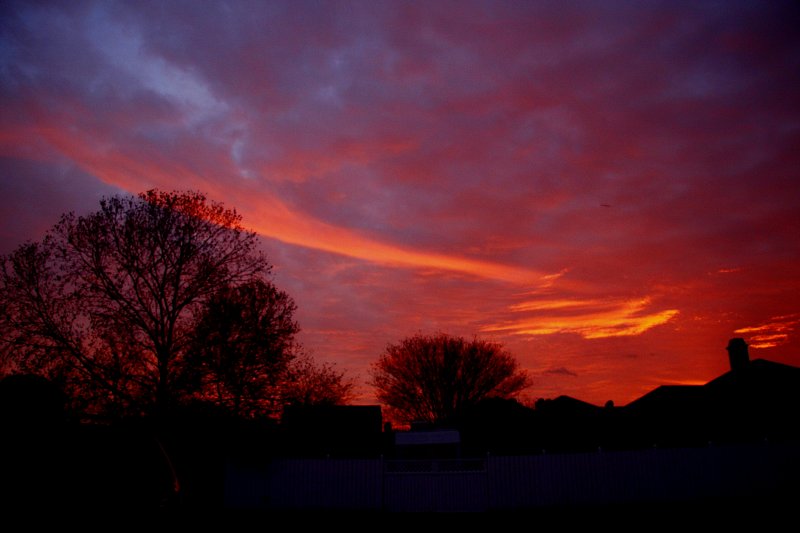 FRONT YARD SUNSET