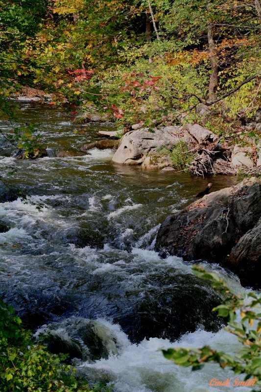 RUSHING RIVER