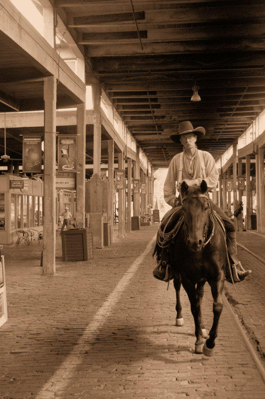 COWBOY RIDES ALONE