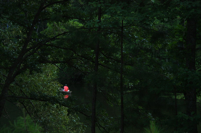 FISHING IN THE TREES