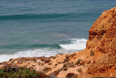 CLIFF OF TORREY PINES STATE PARK