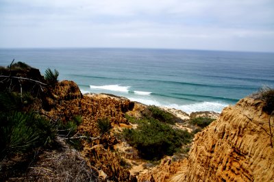 OCEAN VIEW FROM TORREY PINES STATE RESERVE